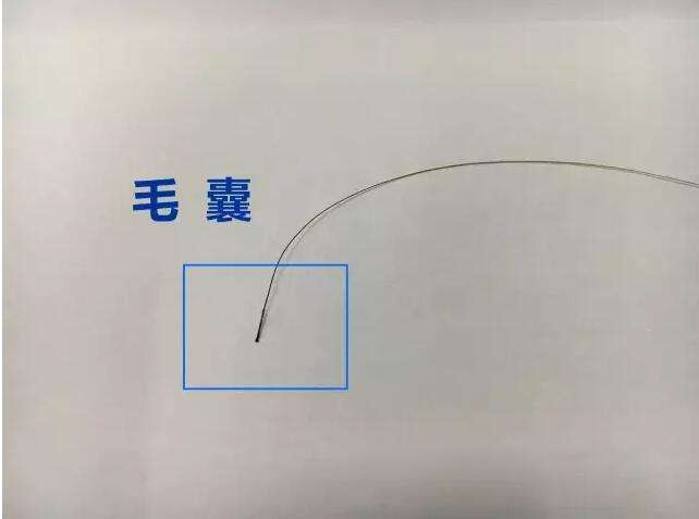 东莞可以用没有毛囊的头发做亲子鉴定吗？(图1)