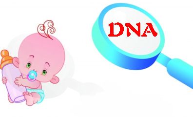 东莞国一揭秘：dna亲子鉴定全过程(图1)